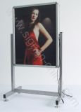 Snap Frame-Illuminated Double-sided Rechargeable Batteries