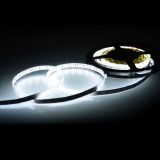 Tira LED 5050(F60-12V-10mm)