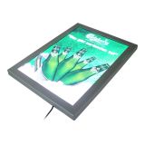 Caja delgada del LED con Esquinas redondas (sin la impresión) A4 (11.7" x 8.3")