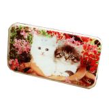 Cuadro Para Foto Sublimacion Vidrio Rectangulo 8.6" x 4.9"