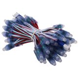 12mm WS2811 DC12V Waterproof IP65 RGB Full Color LED Pixel Digital Diffused LED Module String