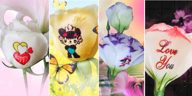 Print Flowers